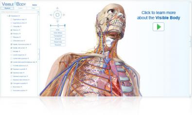 Visible Body screenshot