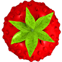 smultron logo