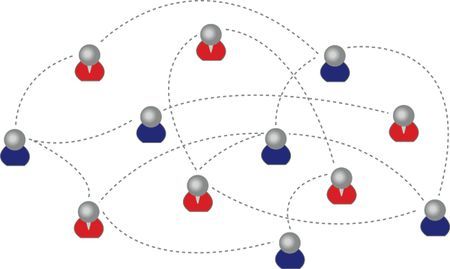 social network