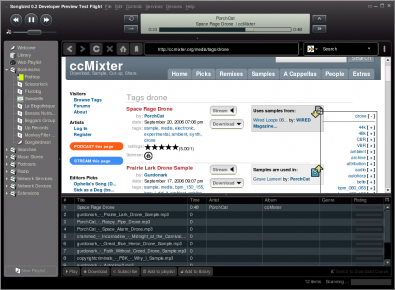 Songbird screenshot