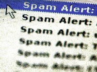 spam