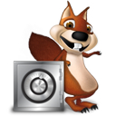 squirrel