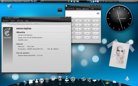 tema ubuntu