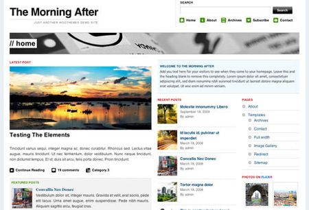 temi wordpress the morning after