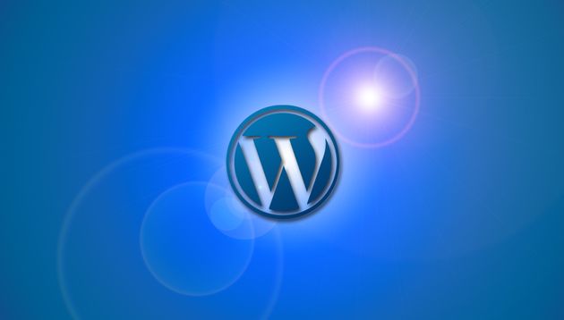 template wordpress trovare installare