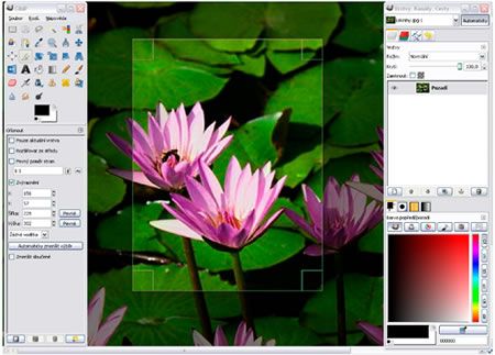 Gimp 2.6