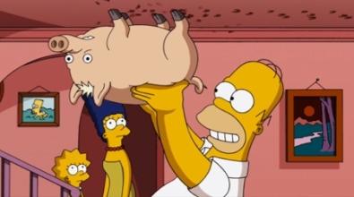 spiderpork