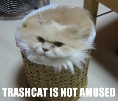 trashcat