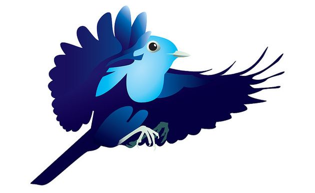 twitter social network strumento informazione