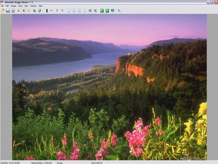 visualizzare gestire immagini altarsoft image viewer