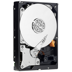 Western Digital