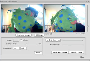 Webcam to GIF