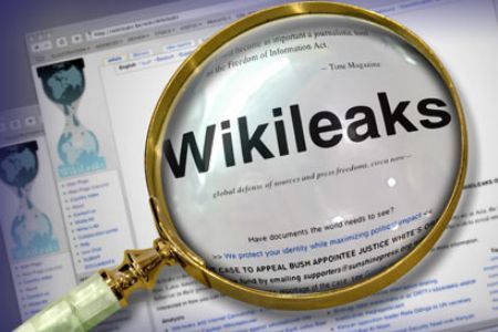 wikileaks dos