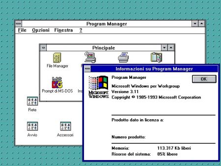 Windows 3.1