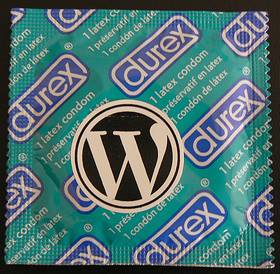 wordpress safe