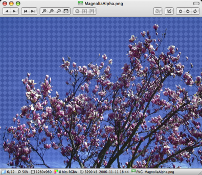Xee screenshot