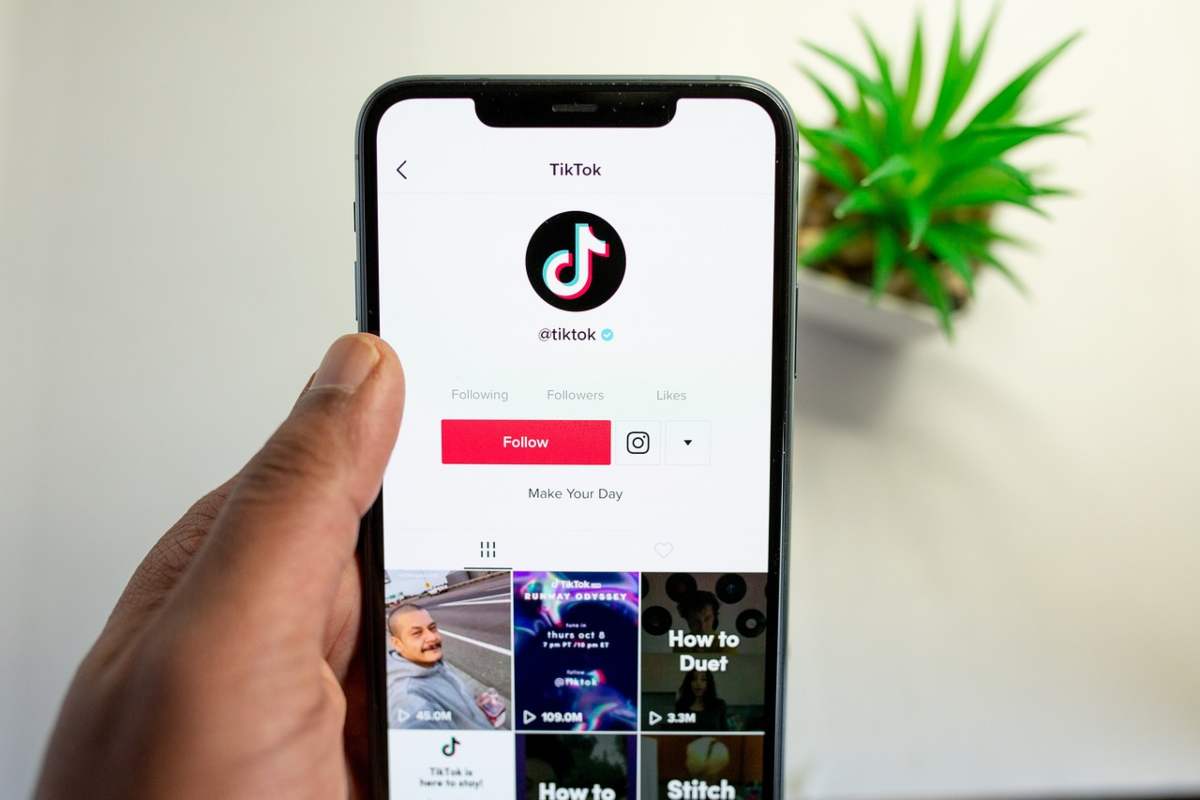 Octopus, il gadget diventato virale su TikTok