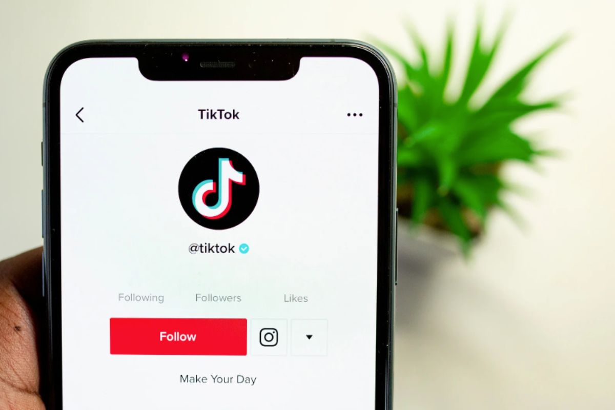 tiktok è stato bannato in molti paesi